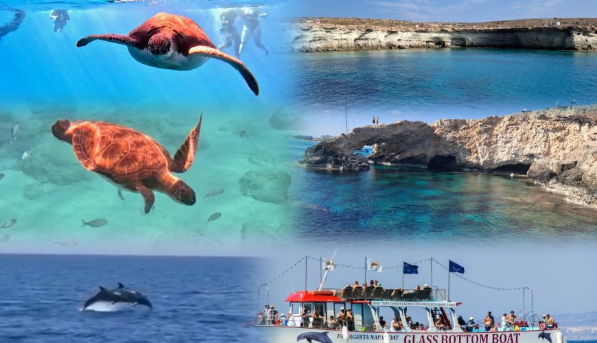 Ayia napa boat trips