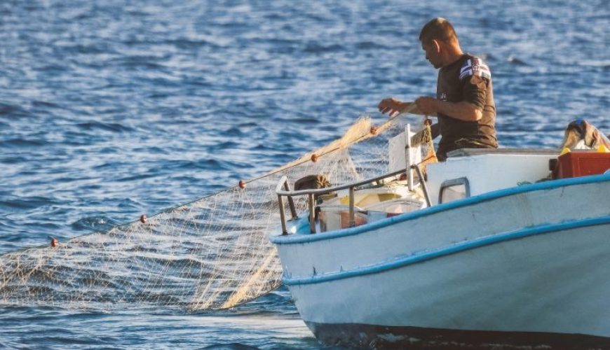 Ayia Napa Fishing Culture & Local Life